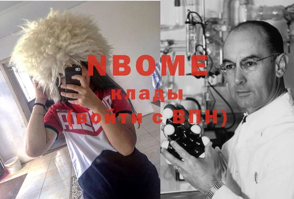 прущие грибы Абинск